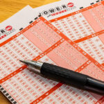 article_10779_featured_1770879152